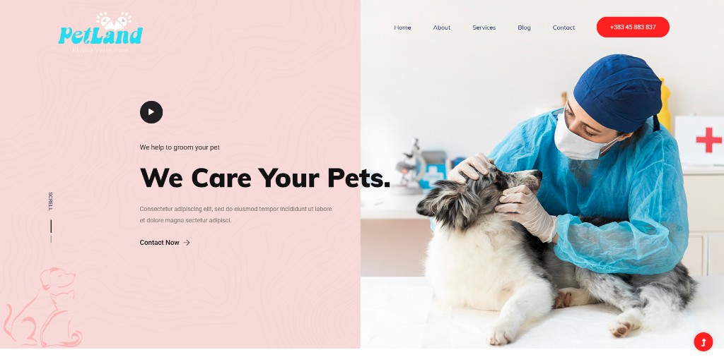 PetLand Clinic — front-end project in progress
